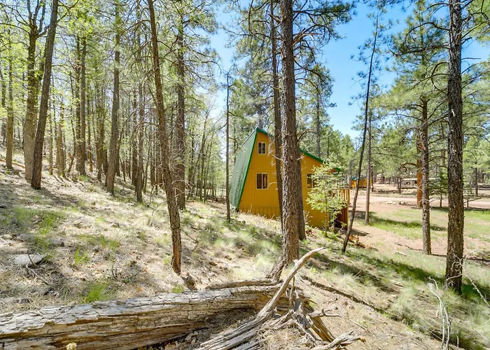 Hike & Atv: Secluded W/ Deck Holiday home